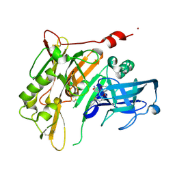 BU of 4rrs by Molmil