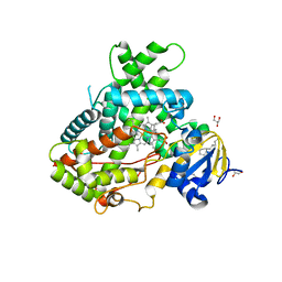 BU of 4rrt by Molmil