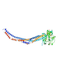 BU of 4rsi by Molmil