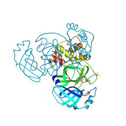 BU of 4rsp by Molmil