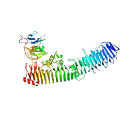 BU of 4rt6 by Molmil