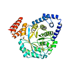 BU of 4rtb by Molmil