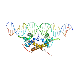 AU of 4ru7 by Molmil