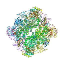 BU of 4rub by Molmil