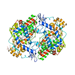 BU of 4rut by Molmil