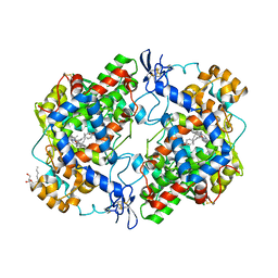 BU of 4rut by Molmil