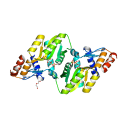 BU of 4rv4 by Molmil