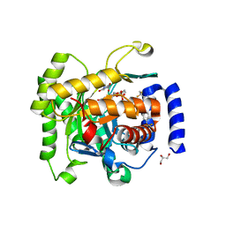 BU of 4rx0 by Molmil