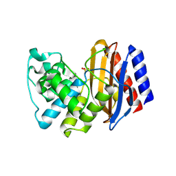 BU of 4rx2 by Molmil