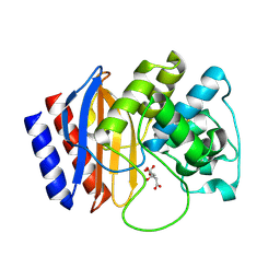 BU of 4rx3 by Molmil