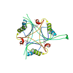 BU of 4rx6 by Molmil