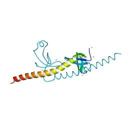 BU of 4rxj by Molmil