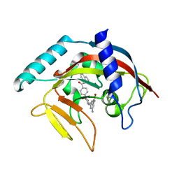 BU of 4tkf by Molmil