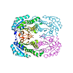 BU of 4tkm by Molmil