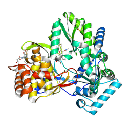 BU of 4tlr by Molmil