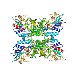 BU of 4tm3 by Molmil