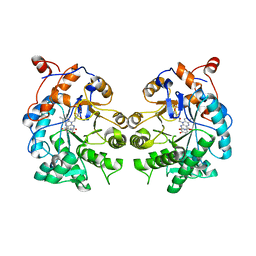 BU of 4tmc by Molmil