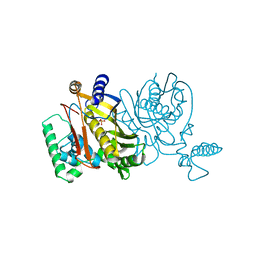 BU of 4tms by Molmil