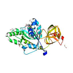 BU of 4tmx by Molmil