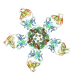 BU of 4tnv by Molmil