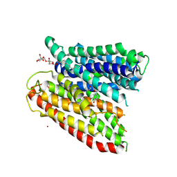 BU of 4tpg by Molmil