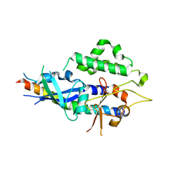 BU of 4tq0 by Molmil