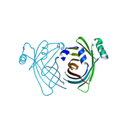 BU of 4tq2 by Molmil