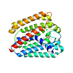 BU of 4tq4 by Molmil