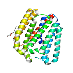 BU of 4tq5 by Molmil