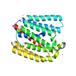 BU of 4tq6 by Molmil