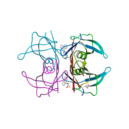 BU of 4tq8 by Molmil