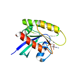 BU of 4tqa by Molmil