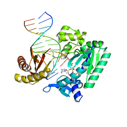 BU of 4tqs by Molmil