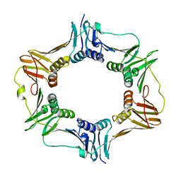 BU of 4tr6 by Molmil