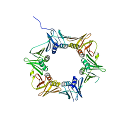 BU of 4tr8 by Molmil