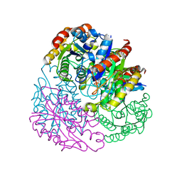 BU of 4tx1 by Molmil