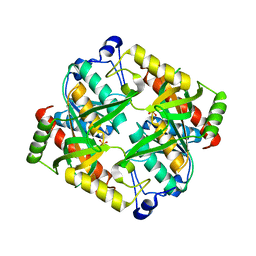 BU of 4txh by Molmil