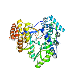 BU of 4txs by Molmil