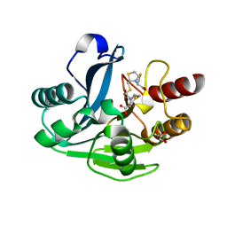 BU of 4ua4 by Molmil