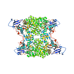 BU of 4ub9 by Molmil