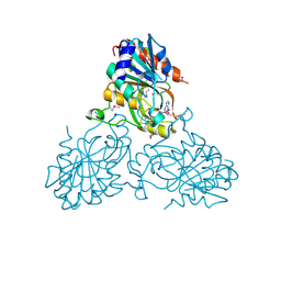 BU of 4uc0 by Molmil