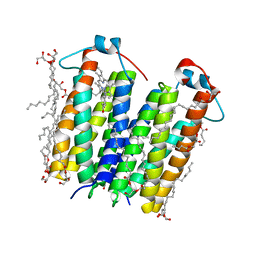 BU of 4uc1 by Molmil