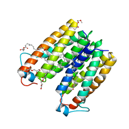 BU of 4uc2 by Molmil