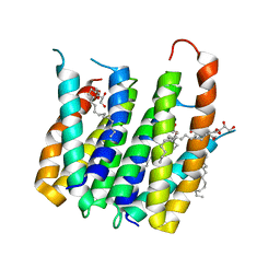 BU of 4uc3 by Molmil