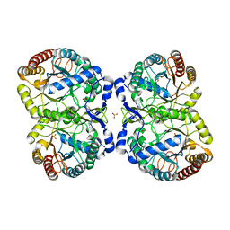 BU of 4uc5 by Molmil