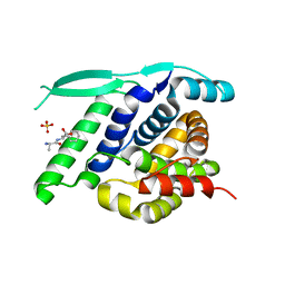 BU of 4uc9 by Molmil