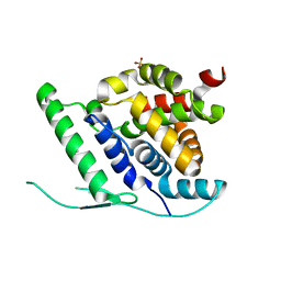 BU of 4ucb by Molmil