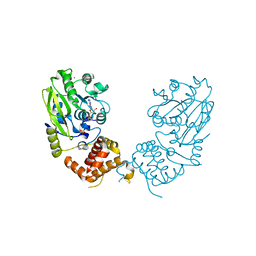 BU of 4ud0 by Molmil