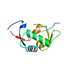 BU of 4ud7 by Molmil