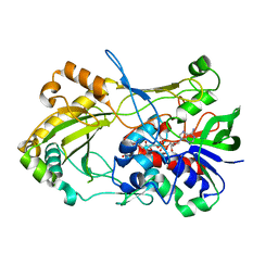 BU of 4udp by Molmil